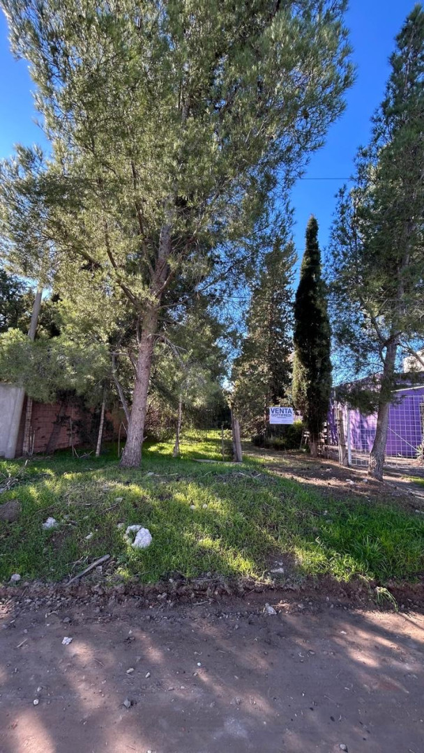 Terreno en Venta en Scalabrini Ortiz 1532, Altos del Pinar, Bahía Blanca - Bahía Blanca Propiedades | SITIO OFICIAL l