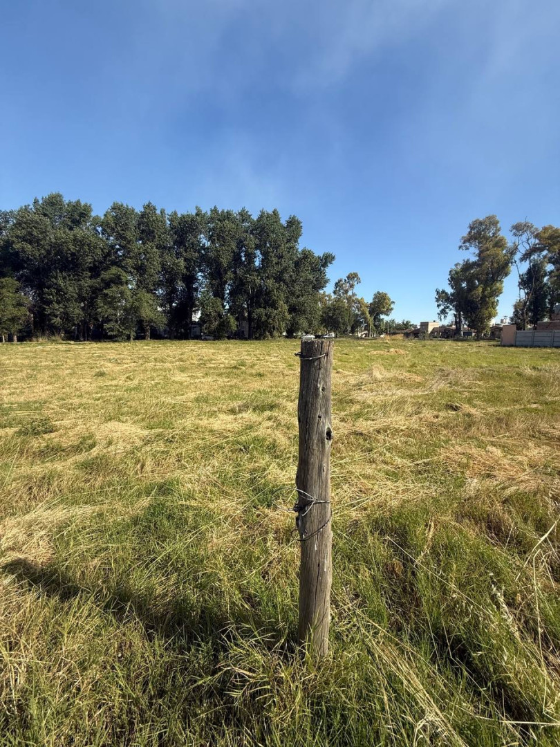 Terreno en Venta en Avenida Arias 1600, Rosario Vera Peñaloza , Bahía Blanca - Bahía Blanca Propiedades | SITIO OFICIAL l