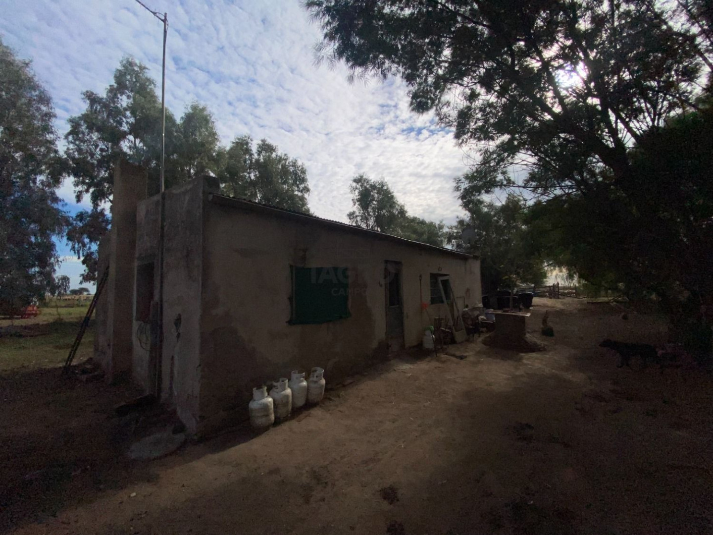 Campo  en Venta en Puan,  Puan - Bahía Blanca Propiedades | SITIO OFICIAL l