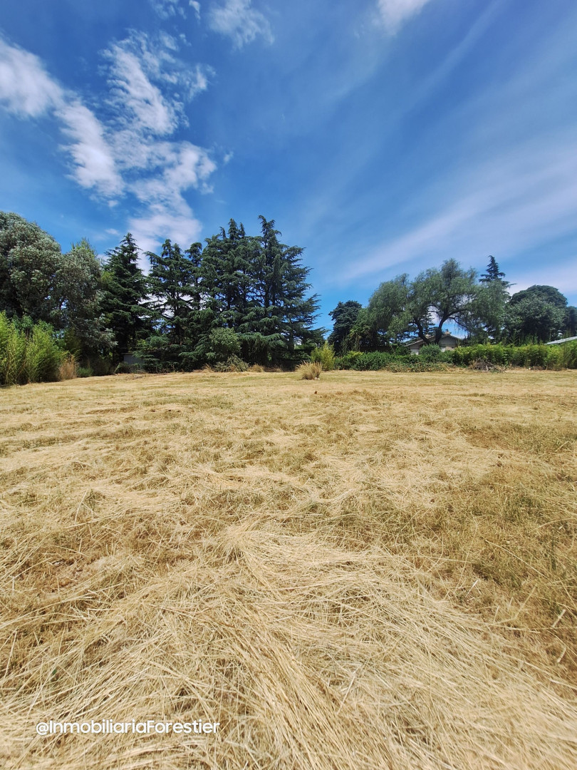 Terreno en Venta en LAS CALANDRIAS, Parque Golf, Sierra de  la Ventana - Bahía Blanca Propiedades | SITIO OFICIAL l
