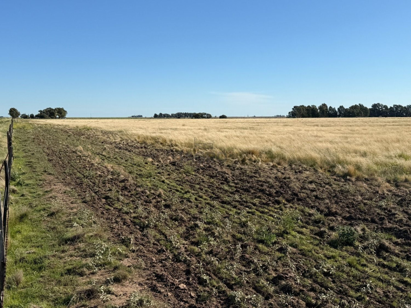 Campo  en Venta en Bajo Hondo,  Bajo Hondo - Bahía Blanca Propiedades | SITIO OFICIAL l