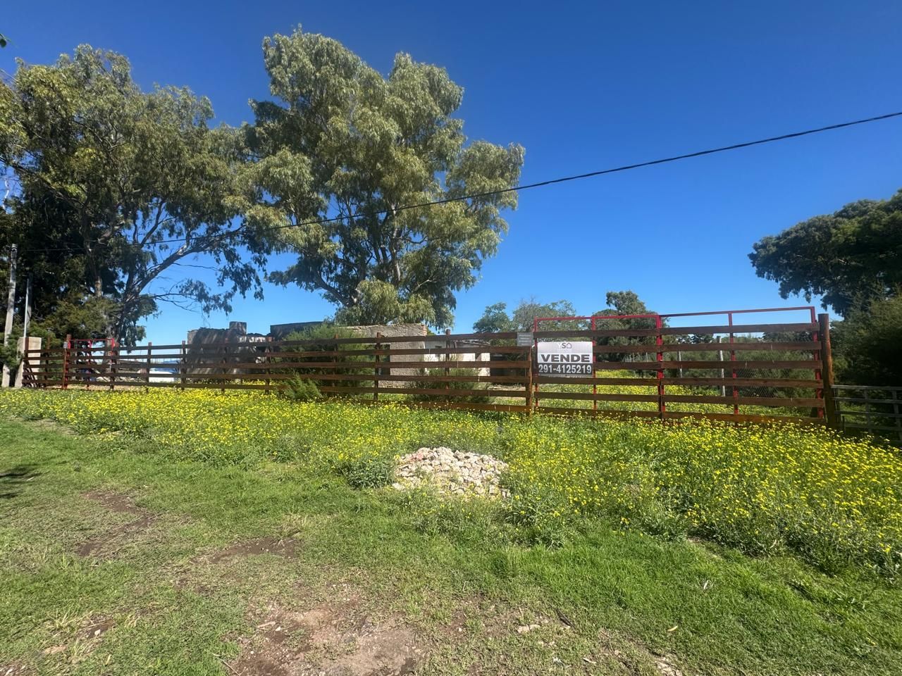 Terreno en Venta en Los Baguales, Saavedra, Provincia De Buenos Aires,  Saavedra - Bahía Blanca Propiedades | SITIO OFICIAL l