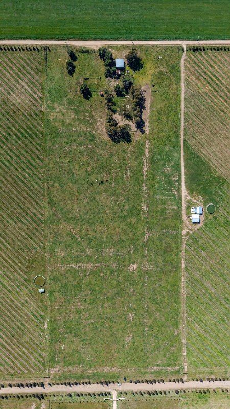 Campo  en Venta   Bahía Blanca - Bahía Blanca Propiedades | SITIO OFICIAL l