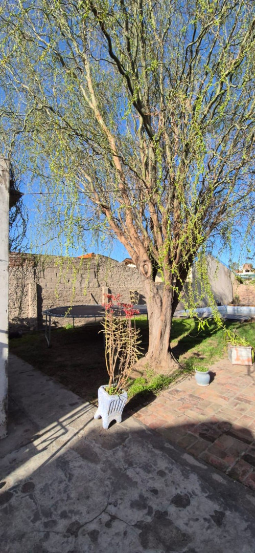 Casa en Venta en España  1237, San Martin, Bahía Blanca - Bahía Blanca Propiedades | SITIO OFICIAL l