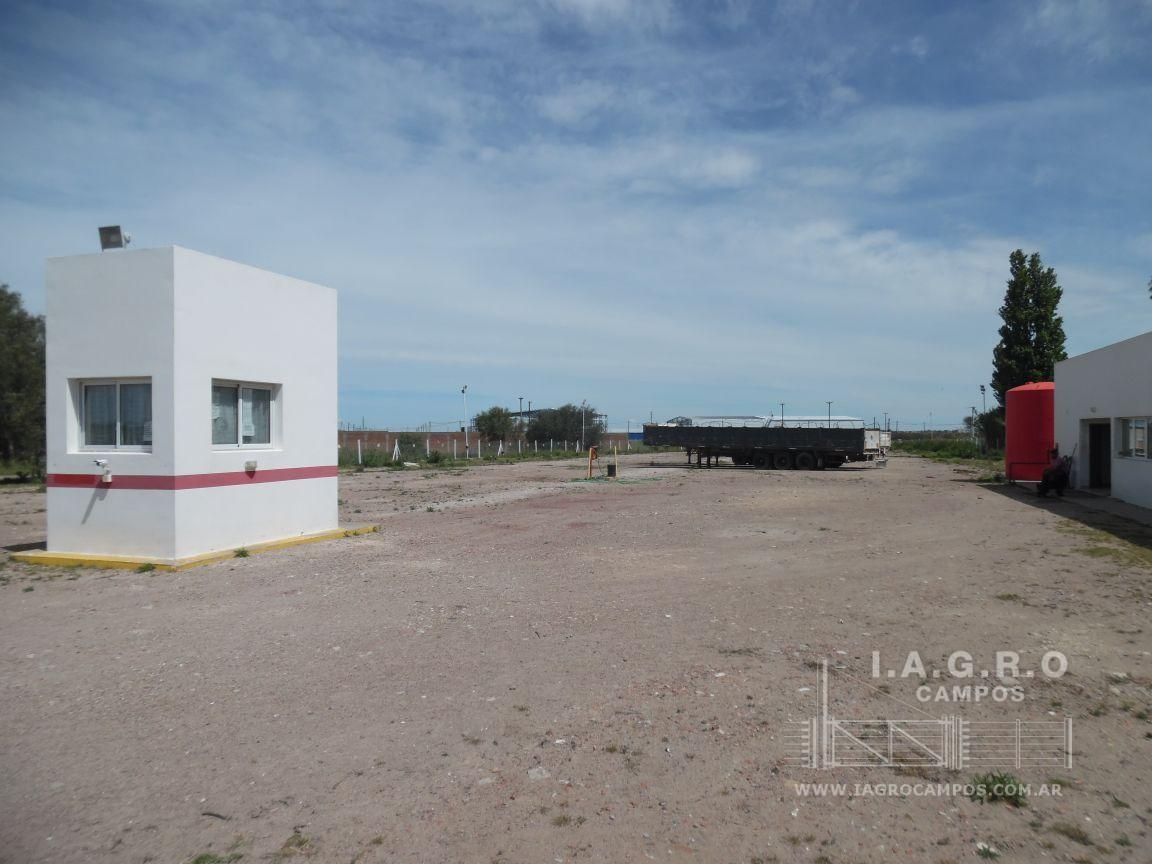 Terreno en Venta en Ruta Nacional 3 Sur Km 695,  Bahía Blanca - Bahía Blanca Propiedades | SITIO OFICIAL l