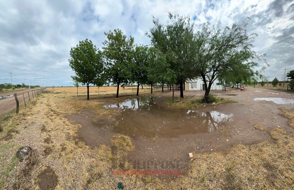 Terreno en Venta en Acceso A La Adela,  La Pampa - Bahía Blanca Propiedades | SITIO OFICIAL l