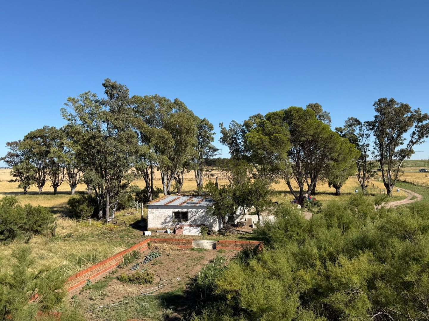 Campo  en Venta en Bajo Hondo,  Bahía Blanca - Bahía Blanca Propiedades | SITIO OFICIAL l