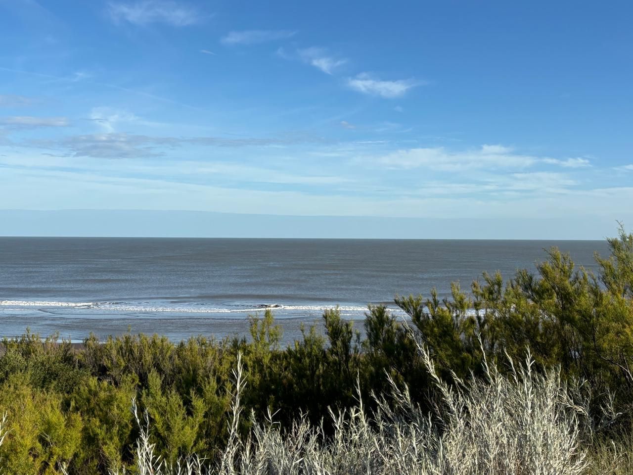 Terreno en Venta en Sauce Grande, El Sauce, Monte Hermoso - Bahía Blanca Propiedades | SITIO OFICIAL l