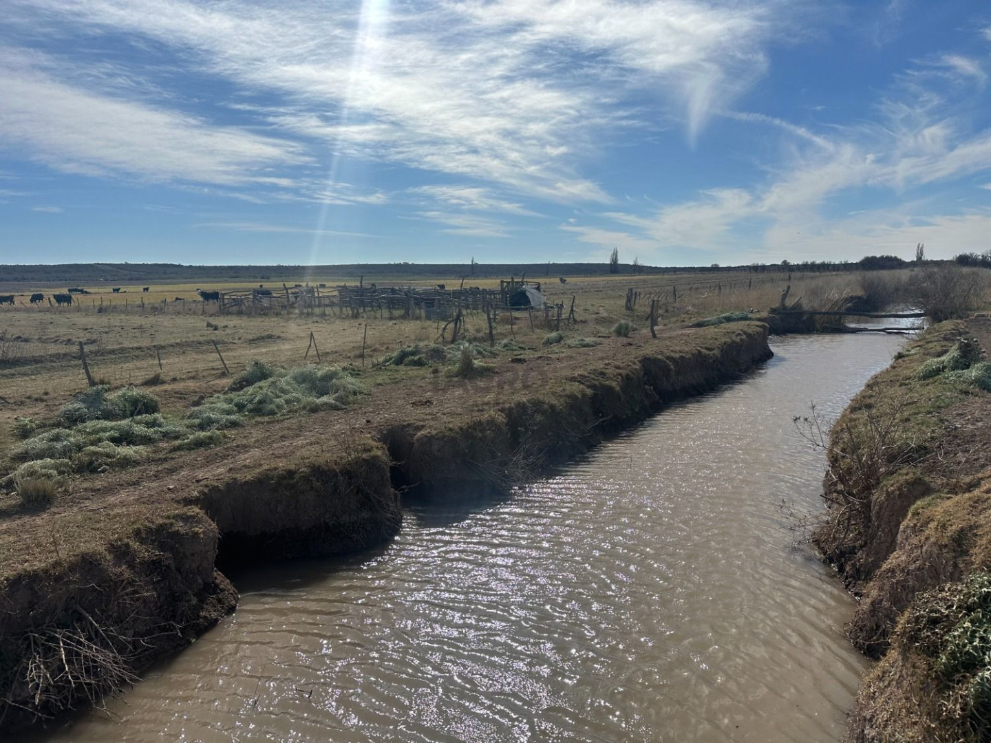 Campo  en Venta en Pedro Luro,  Pedro Luro - Bahía Blanca Propiedades | SITIO OFICIAL l