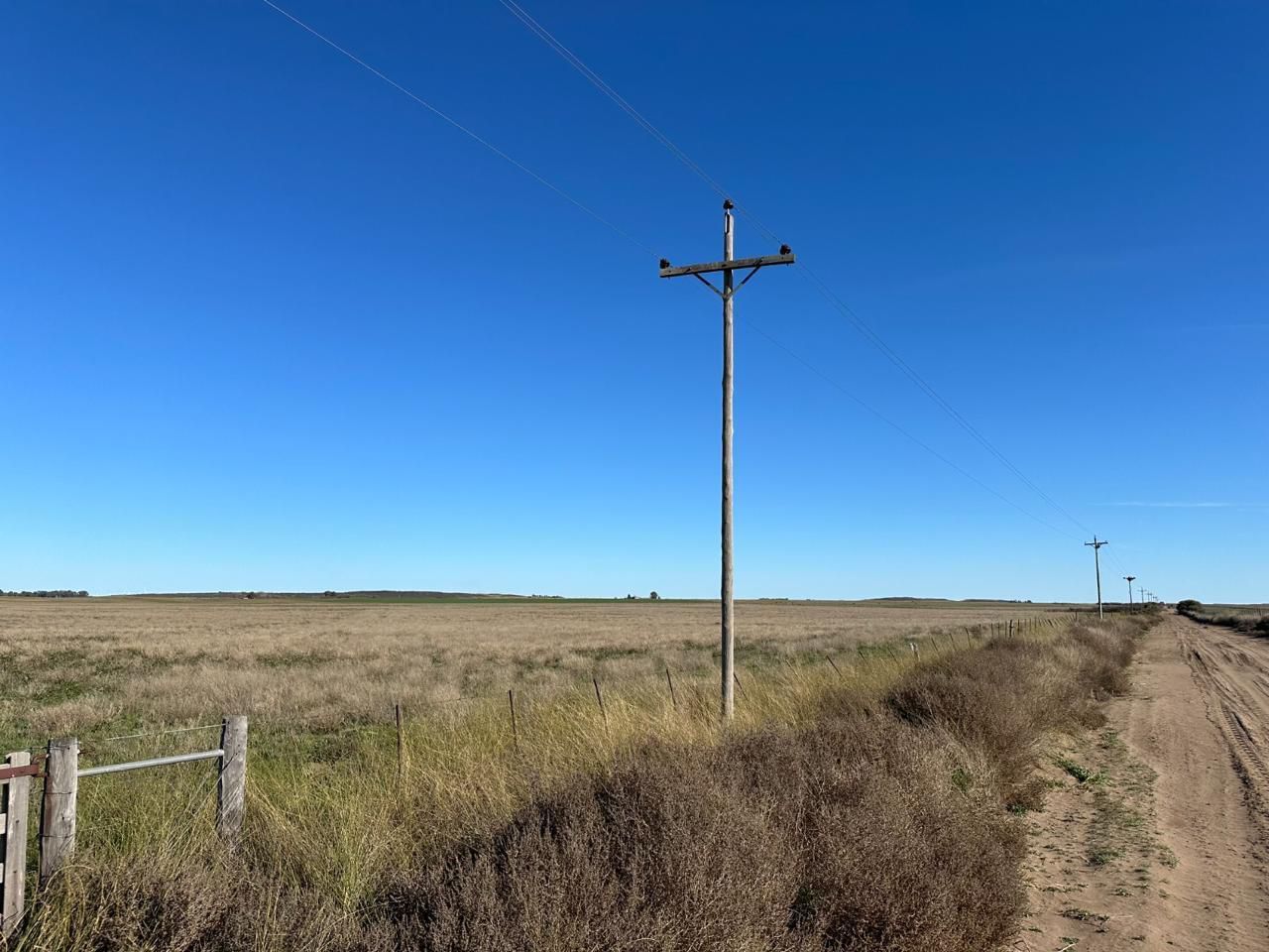 Campo  en Venta en A 4 Kilómetros De La Ruta 3.,  Teniente Origone - Bahía Blanca Propiedades | SITIO OFICIAL l
