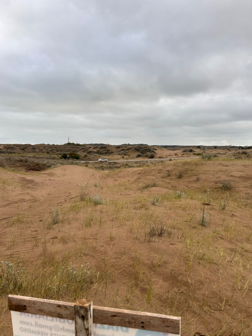 Terreno en Venta en Puleston Entre Magdalena Y San Boronbom, El Sauce, Monte Hermoso - Bahía Blanca Propiedades | SITIO OFICIAL l