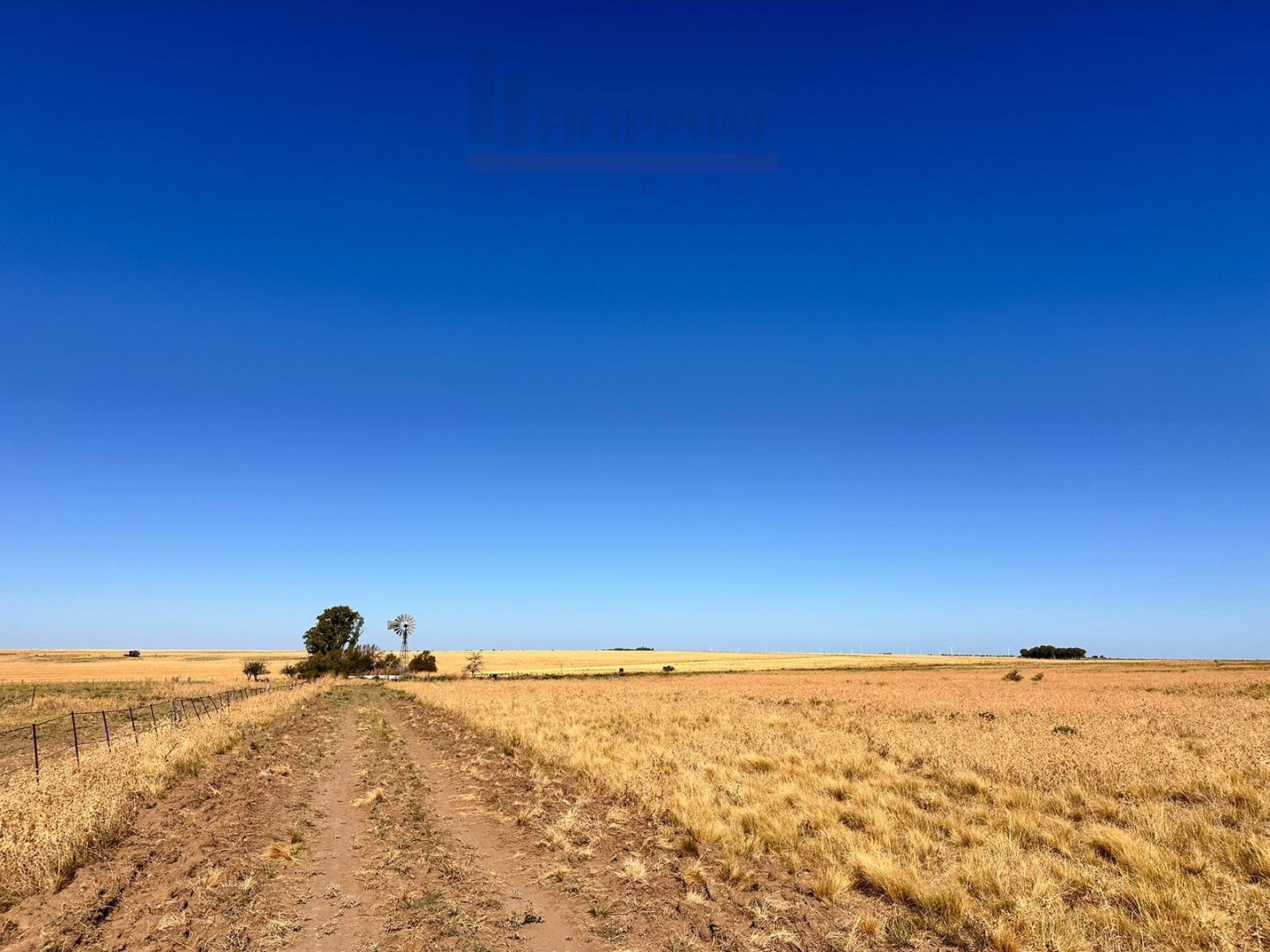 Campo  en Venta en Ruta 35,  Bahía Blanca - Bahía Blanca Propiedades | SITIO OFICIAL l