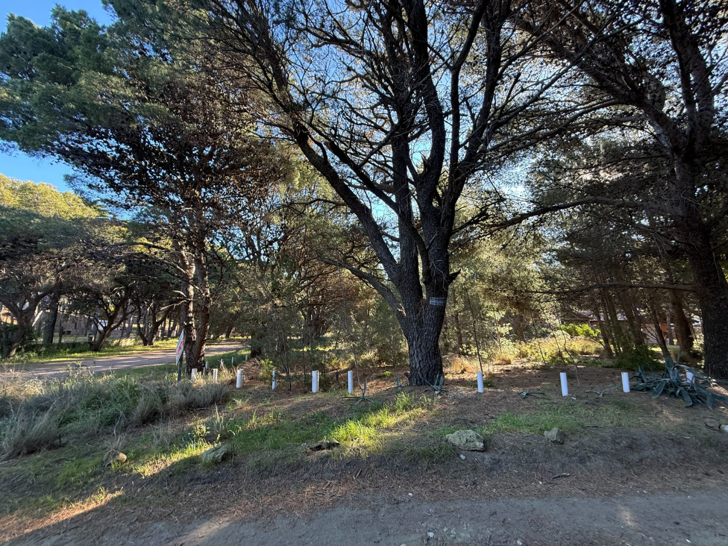 Terreno en Venta en Calle 8  Y Calle 1,  Pehuen Co - Bahía Blanca Propiedades | SITIO OFICIAL l