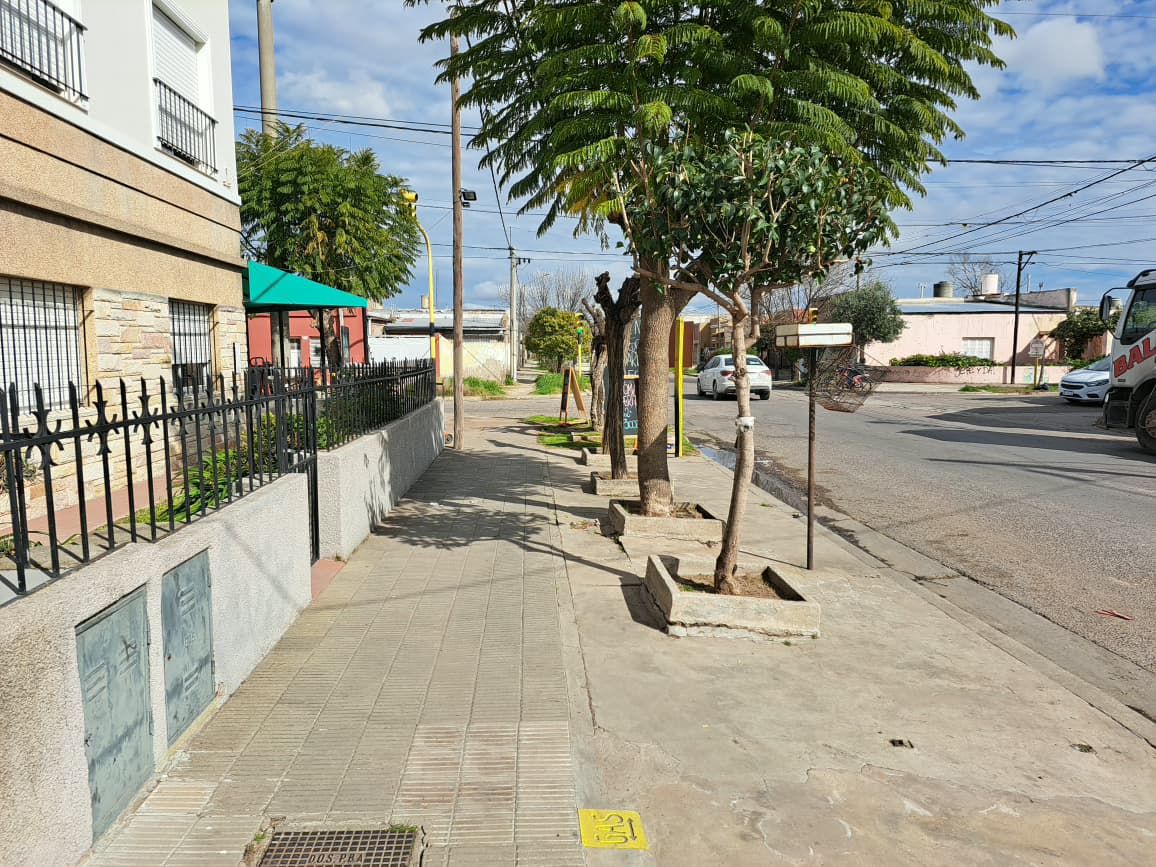 Local en Alquiler en Charlone 1586, Pampa Central, Bahía Blanca - Bahía Blanca Propiedades | SITIO OFICIAL l