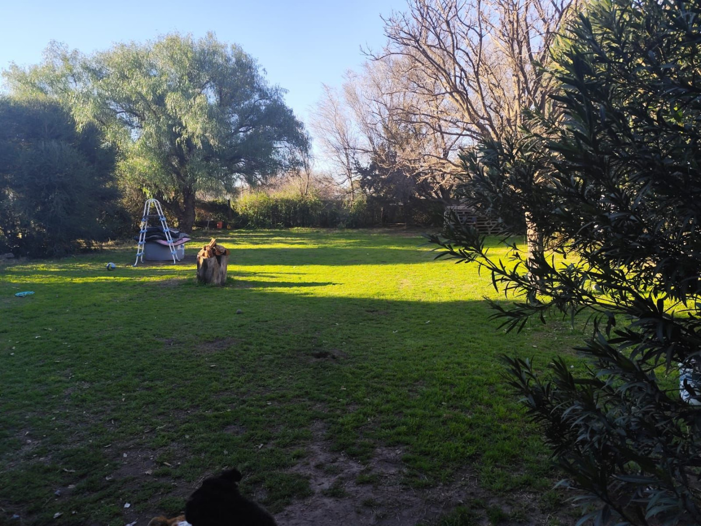 Casa en Venta en Luis Harrington 5371,  Bahía Blanca - Bahía Blanca Propiedades | SITIO OFICIAL l