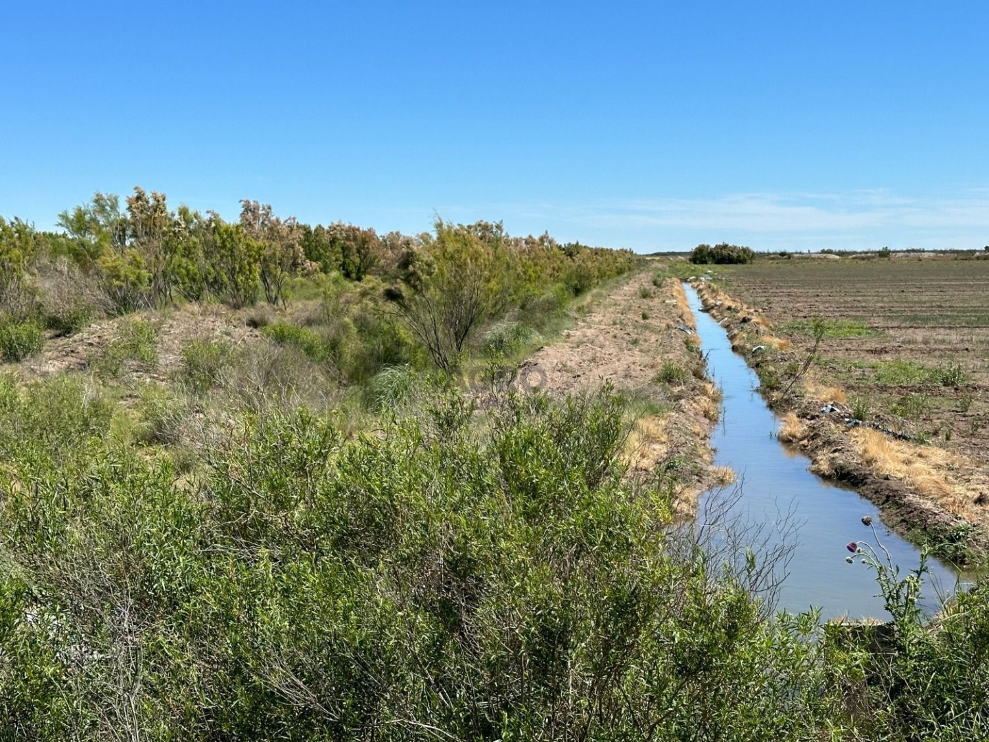 Campo  en Venta en Juan A. Pradere,  Carmen de Patagones - Bahía Blanca Propiedades | SITIO OFICIAL l
