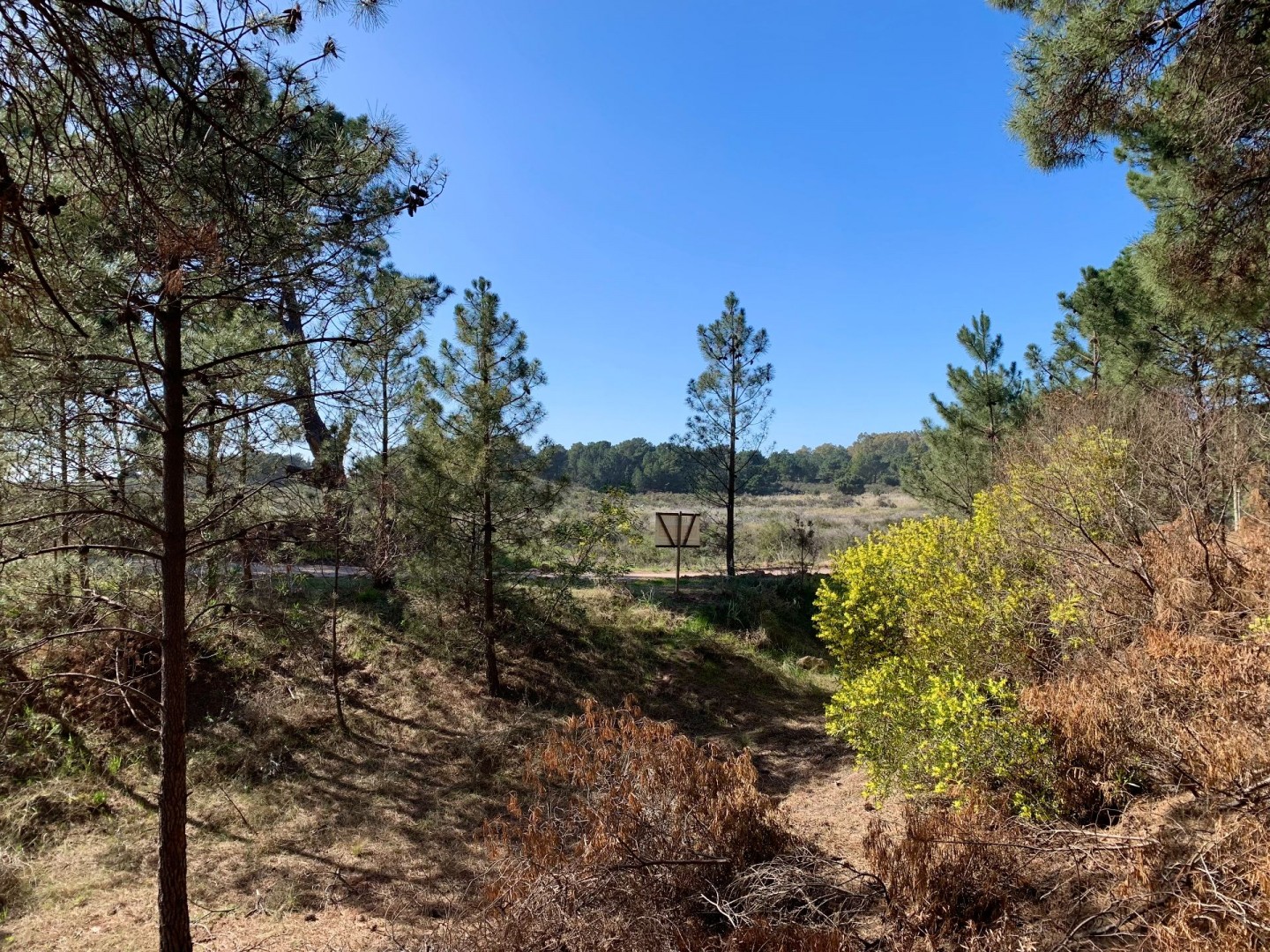 Terreno en Venta en Martinetas, Pinar del Golf, Monte Hermoso - Bahía Blanca Propiedades | SITIO OFICIAL l