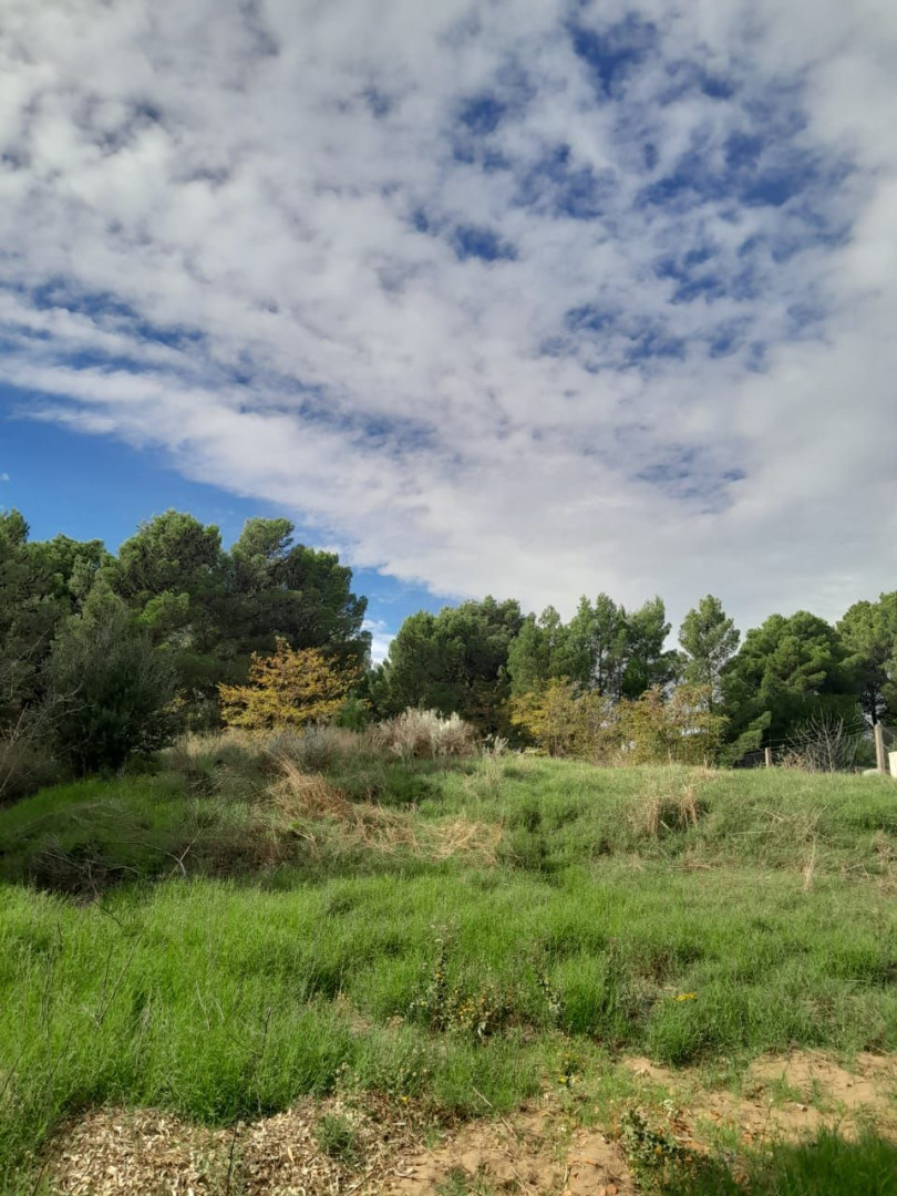 Terreno en Venta  Las Dunas, Monte Hermoso - Bahía Blanca Propiedades | SITIO OFICIAL l
