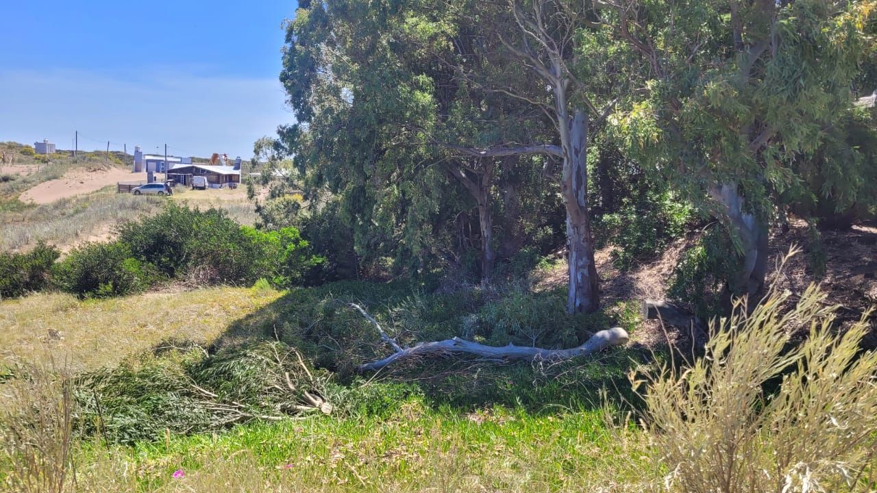 Terreno en Venta en E. Plache Y Punta Indio, El Sauce, Monte Hermoso - Bahía Blanca Propiedades | SITIO OFICIAL l