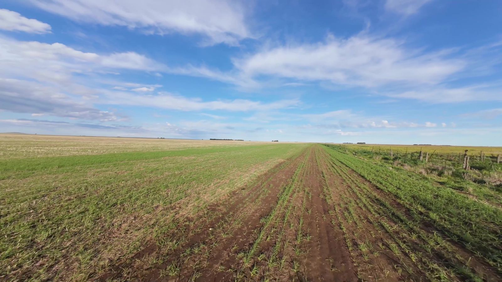 Campo  en Venta   San Romàn - Bahía Blanca Propiedades | SITIO OFICIAL l