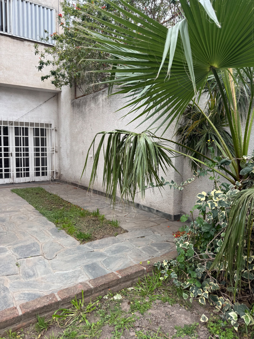 Casa en Venta en Zapiola 285, Centro, Bahía Blanca - Bahía Blanca Propiedades | SITIO OFICIAL l