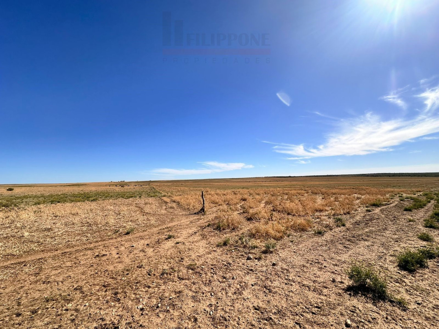 Campo  en Venta en Ruta 35,  Bahía Blanca - Bahía Blanca Propiedades | SITIO OFICIAL l