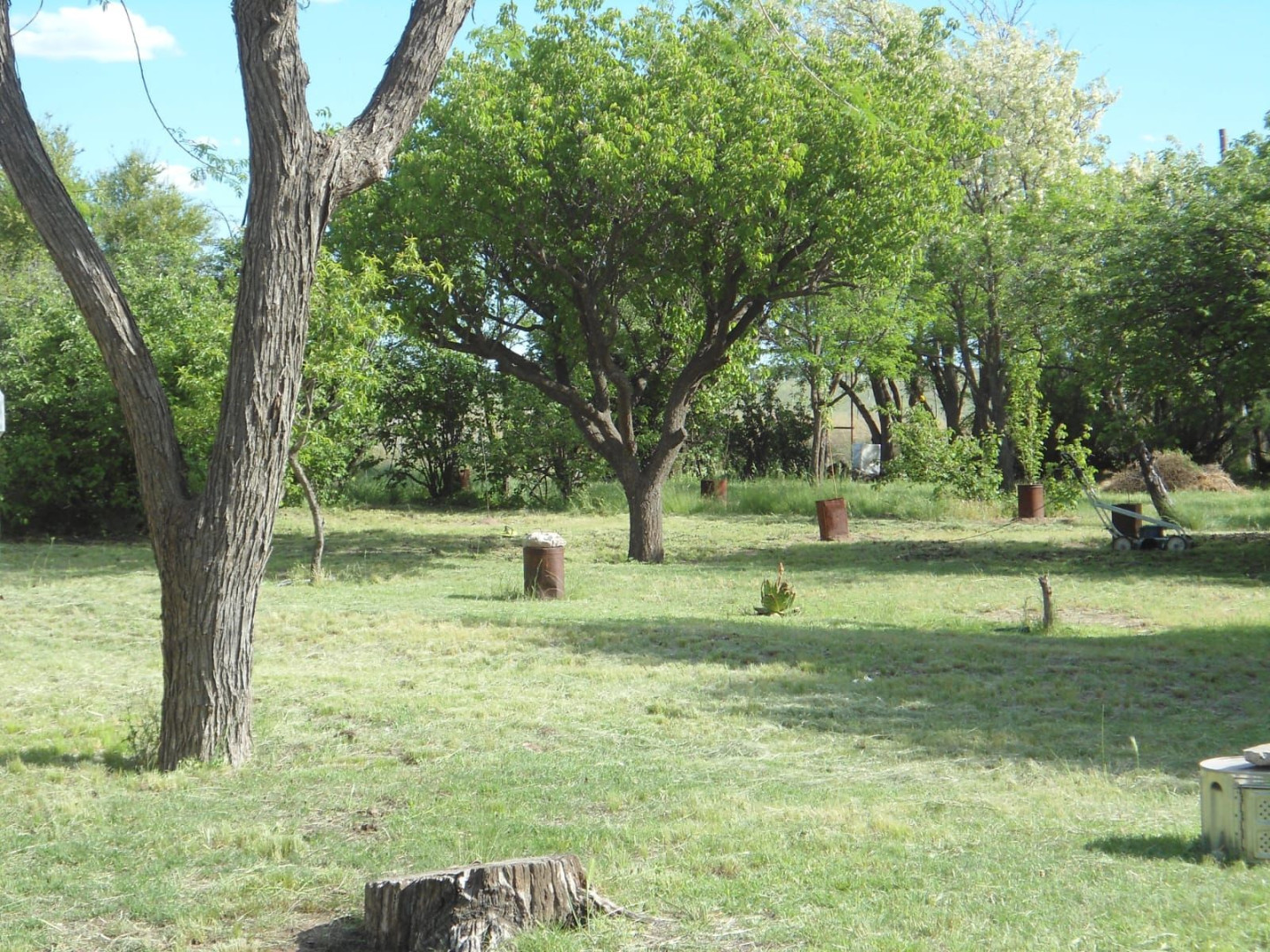 Campo  en Venta en Rn22,  Villarino - Bahía Blanca Propiedades | SITIO OFICIAL l