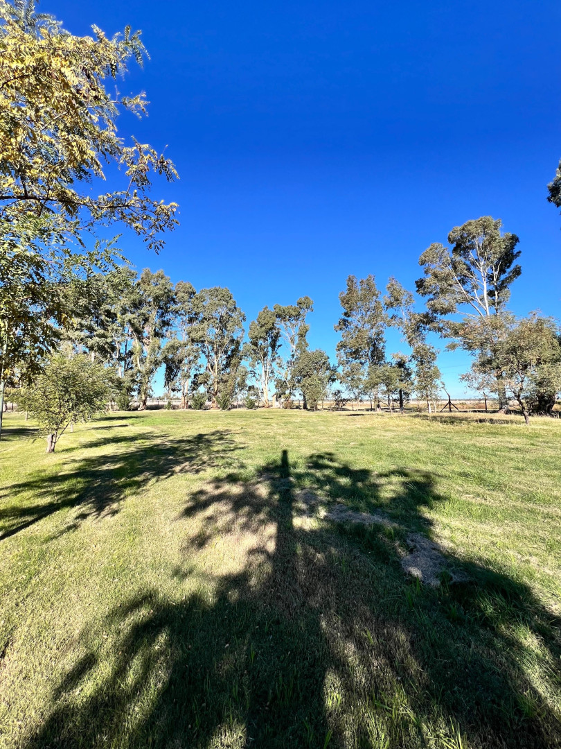 Terreno en Venta en Terreno 347, Pago Chico, Bahía Blanca - Bahía Blanca Propiedades | SITIO OFICIAL l