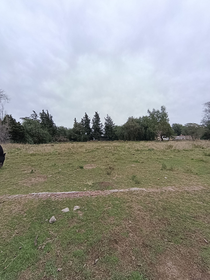 Terreno en Venta en Baigorria 4100 , San Miguel, Bahía Blanca - Bahía Blanca Propiedades | SITIO OFICIAL l