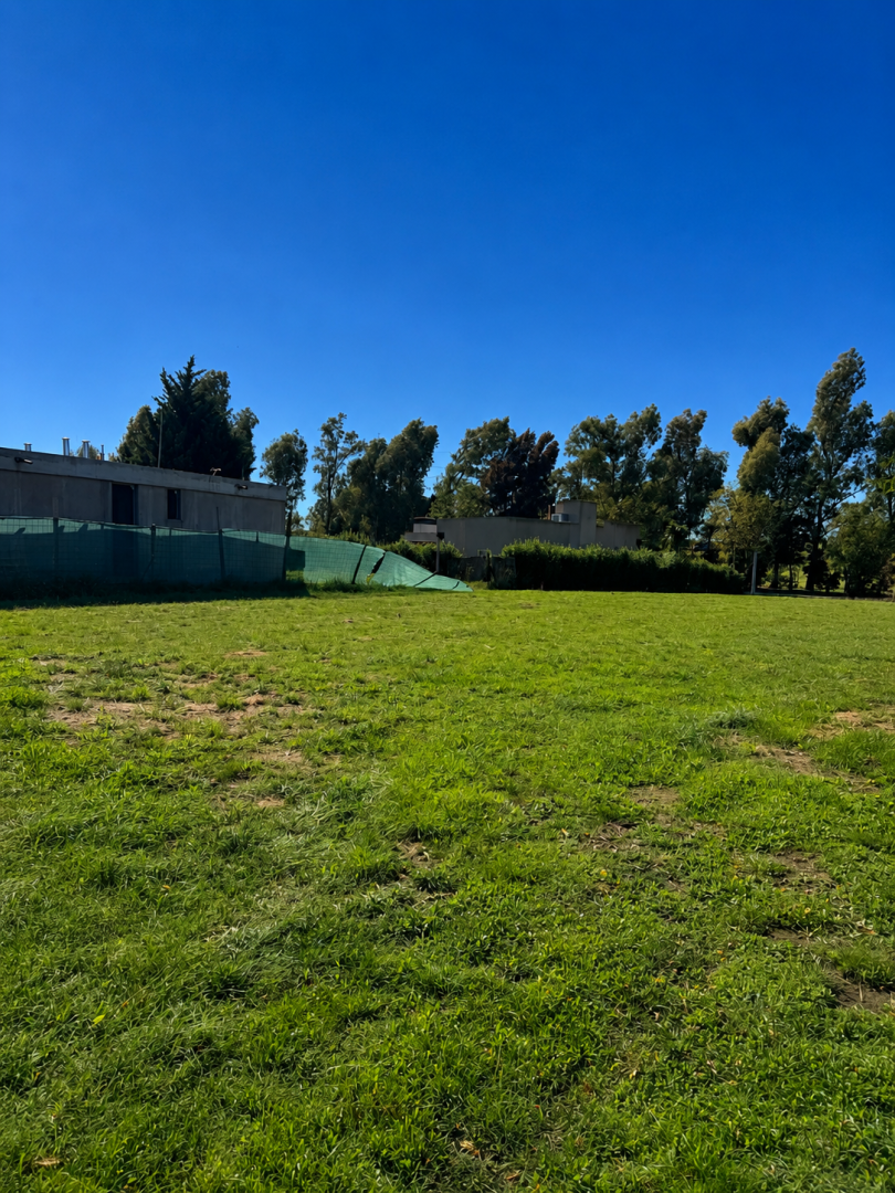 Terreno en Venta en Ruta 229 Km 17, Pago Chico, Punta Alta - Bahía Blanca Propiedades | SITIO OFICIAL l