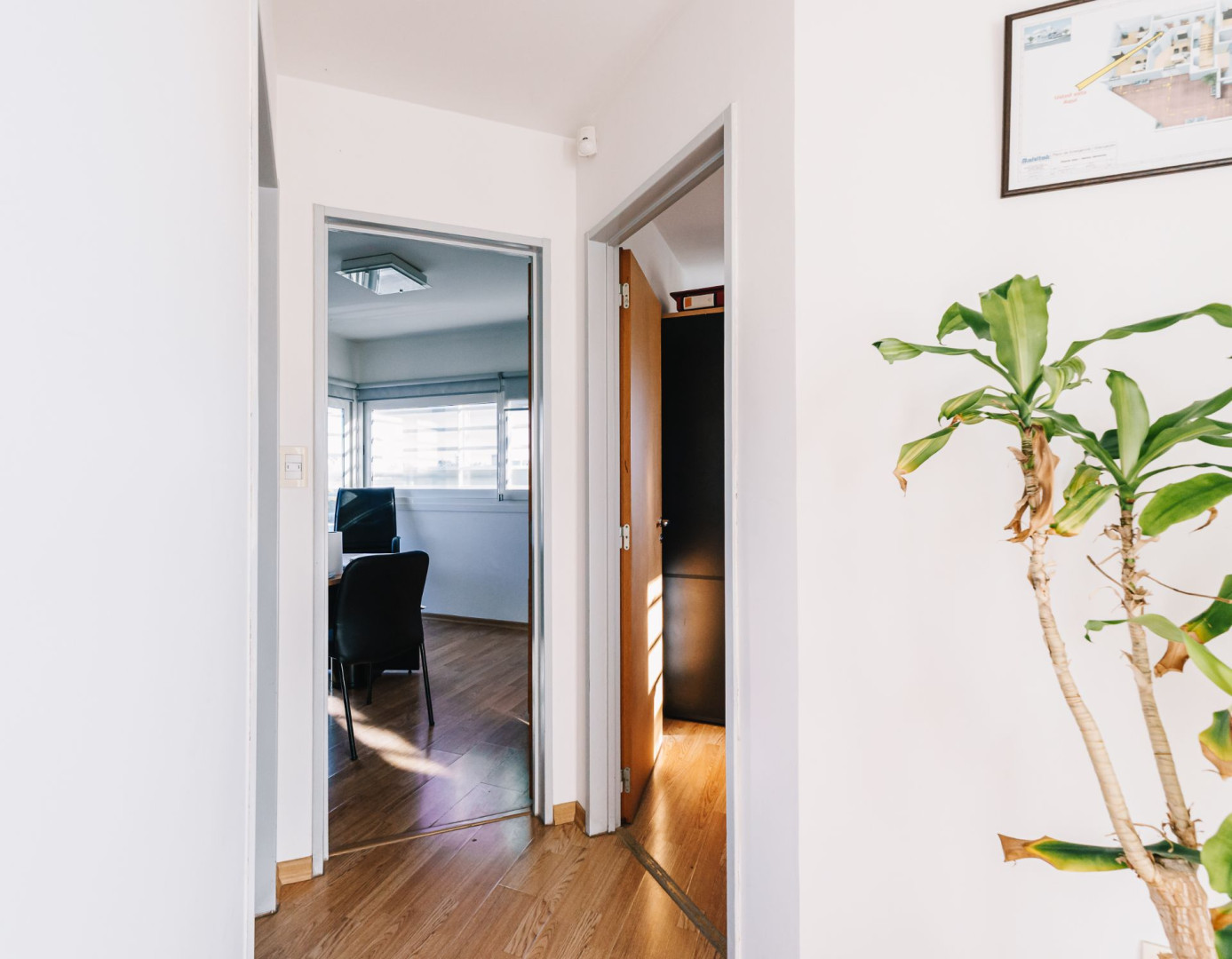 Local en Venta en Mitre Y Colombia, Universitario, Bahía Blanca - Bahía Blanca Propiedades | SITIO OFICIAL l