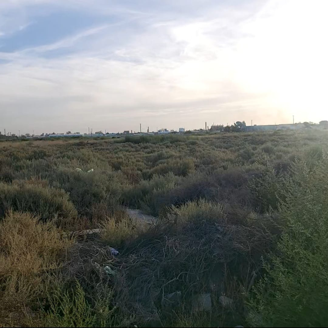 Terreno en Venta   Bahía Blanca - Bahía Blanca Propiedades | SITIO OFICIAL l