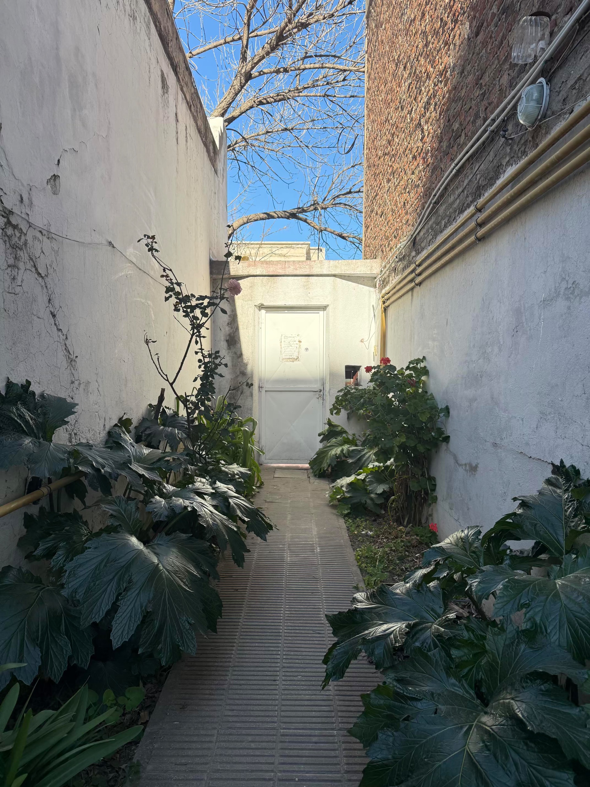 Departamento en Venta en PUEYRREDON 191, Centro, Bahía Blanca - Bahía Blanca Propiedades | SITIO OFICIAL l