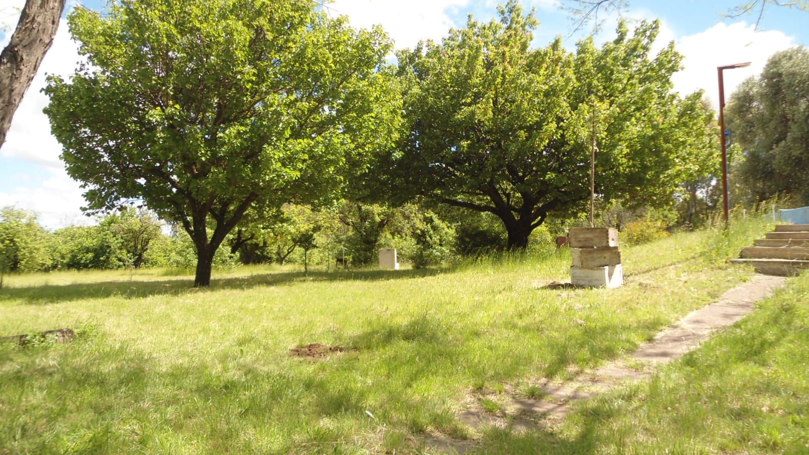 Campo  en Venta en Rn22,  Villarino - Bahía Blanca Propiedades | SITIO OFICIAL l