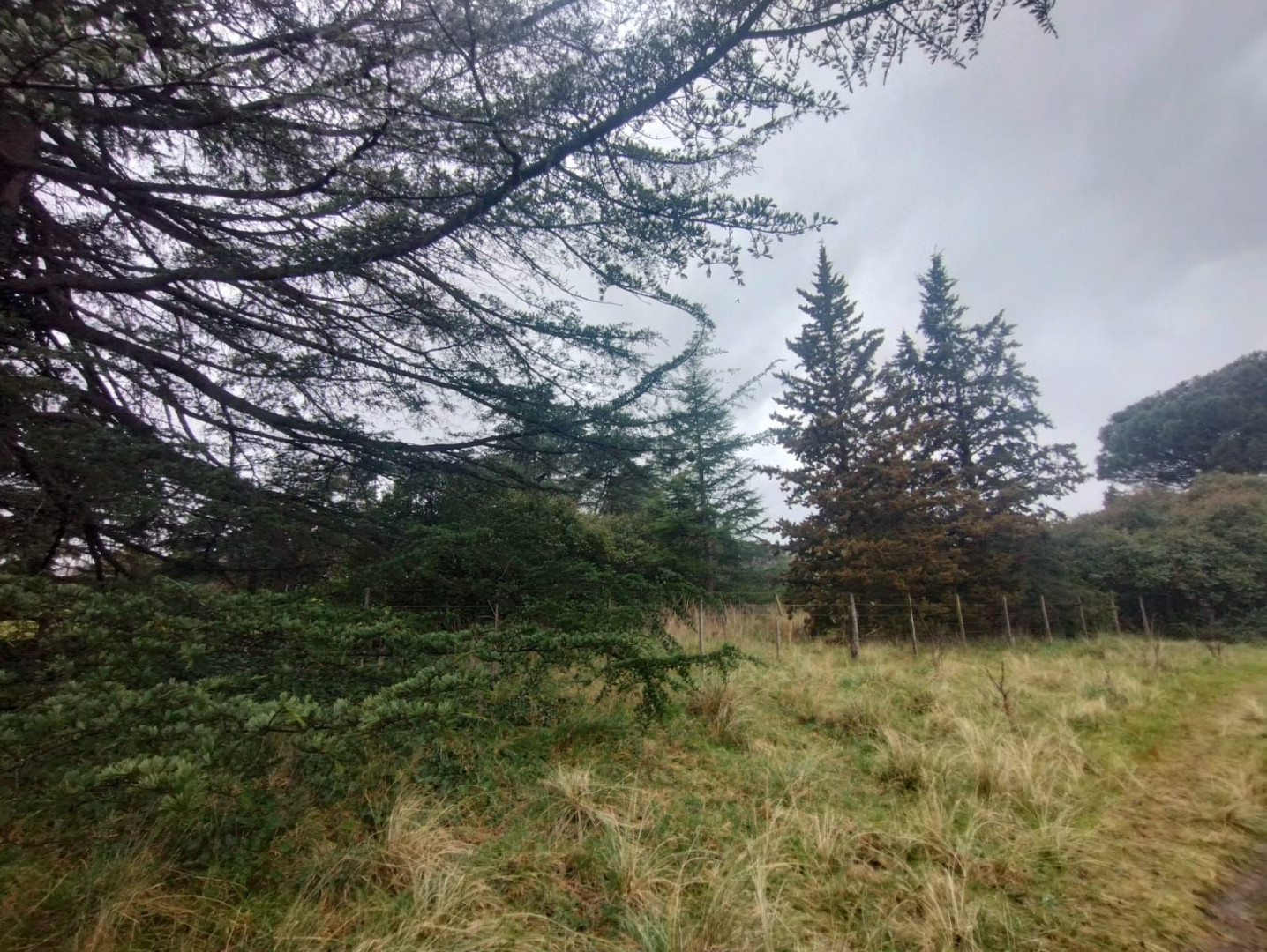 Terreno en Venta en Tres Picos 630,  Sierra de  la Ventana - Bahía Blanca Propiedades | SITIO OFICIAL l