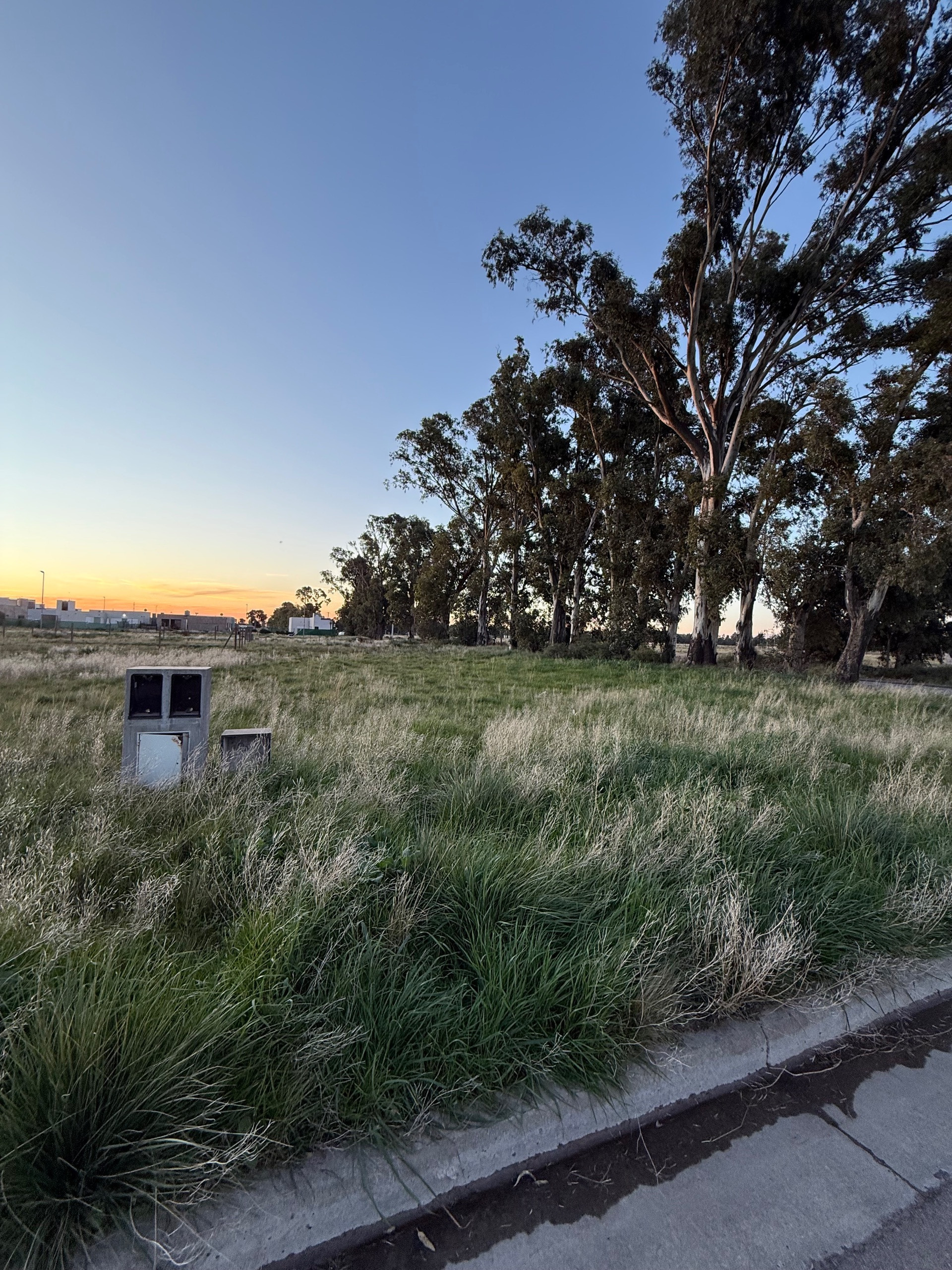 Terreno en Venta en Cambaceres Y Carau, La Merced, Bahía Blanca - Bahía Blanca Propiedades | SITIO OFICIAL l