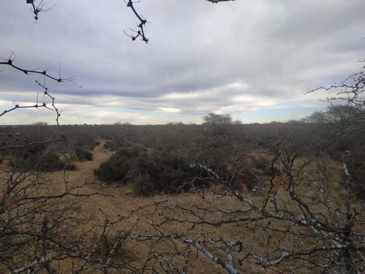 Campo  en Venta en Hucal-La Pampa,  Bahía Blanca - Bahía Blanca Propiedades | SITIO OFICIAL l