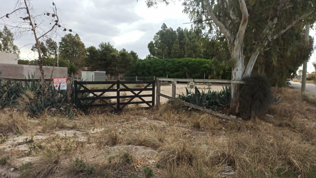Terreno en Venta en Hugony Y Bonnat,  Bahía Blanca - Bahía Blanca Propiedades | SITIO OFICIAL l