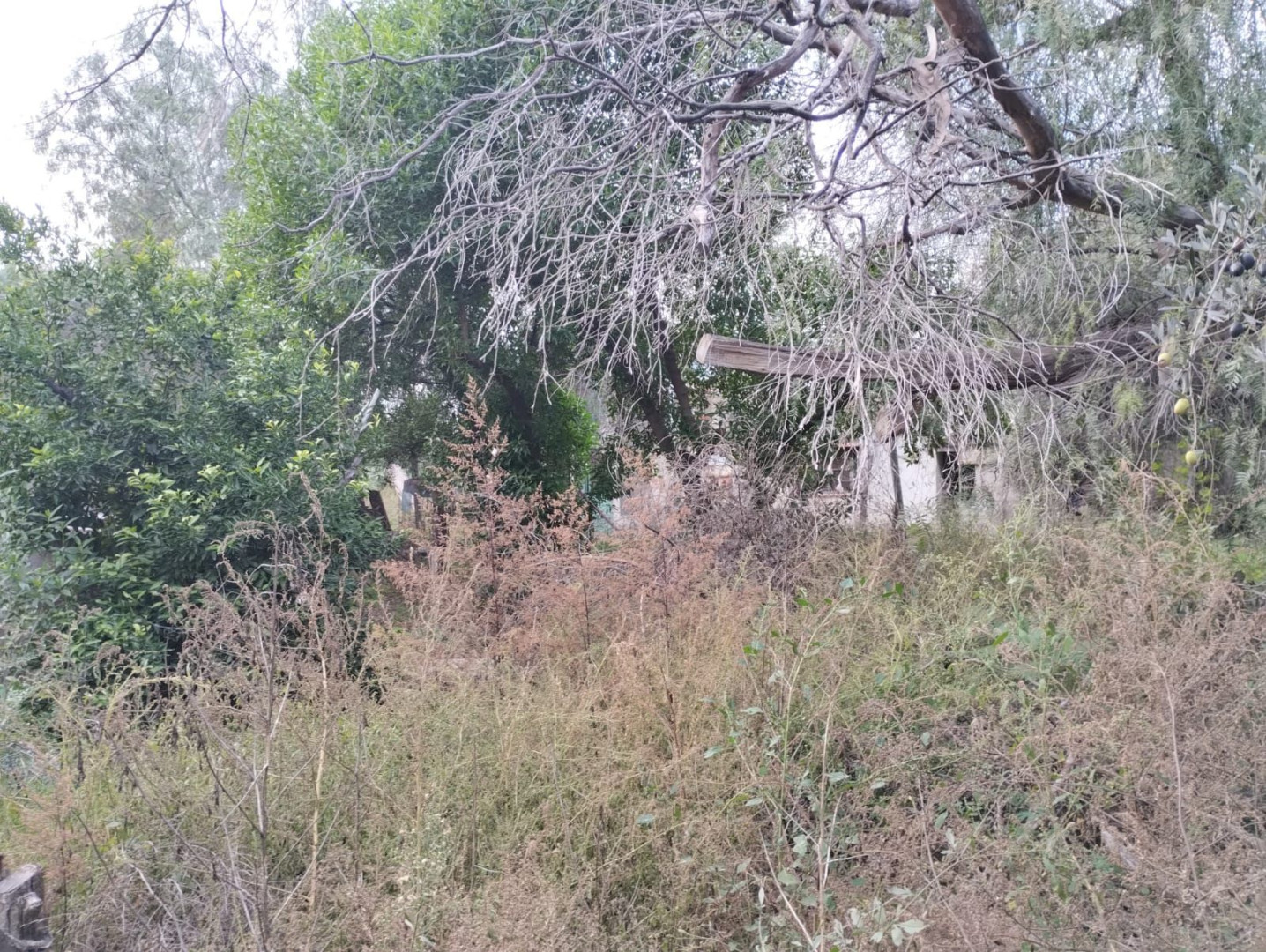 Terreno en Venta en Gualeguay Y Baigorria, San Miguel, Bahía Blanca - Bahía Blanca Propiedades | SITIO OFICIAL l