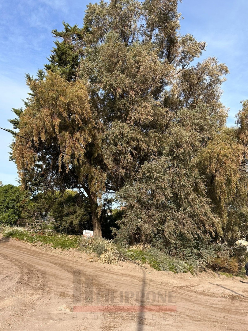 Terreno en Venta en Rodriguez Peña,  Monte Hermoso - Bahía Blanca Propiedades | SITIO OFICIAL l