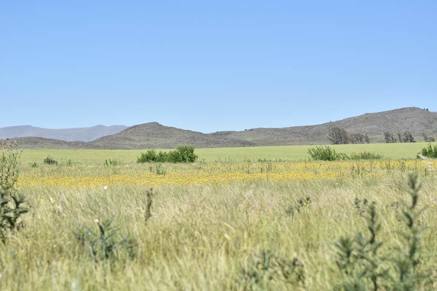 Terreno en Venta en Lote N 255, Las Verbenas , Sierra de  la Ventana - Bahía Blanca Propiedades | SITIO OFICIAL l