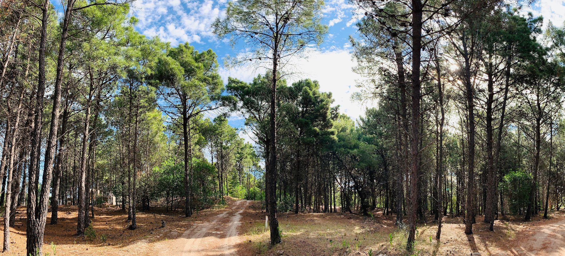 Terreno en Venta en Pinar Del Golf,  Monte Hermoso - Bahía Blanca Propiedades | SITIO OFICIAL l