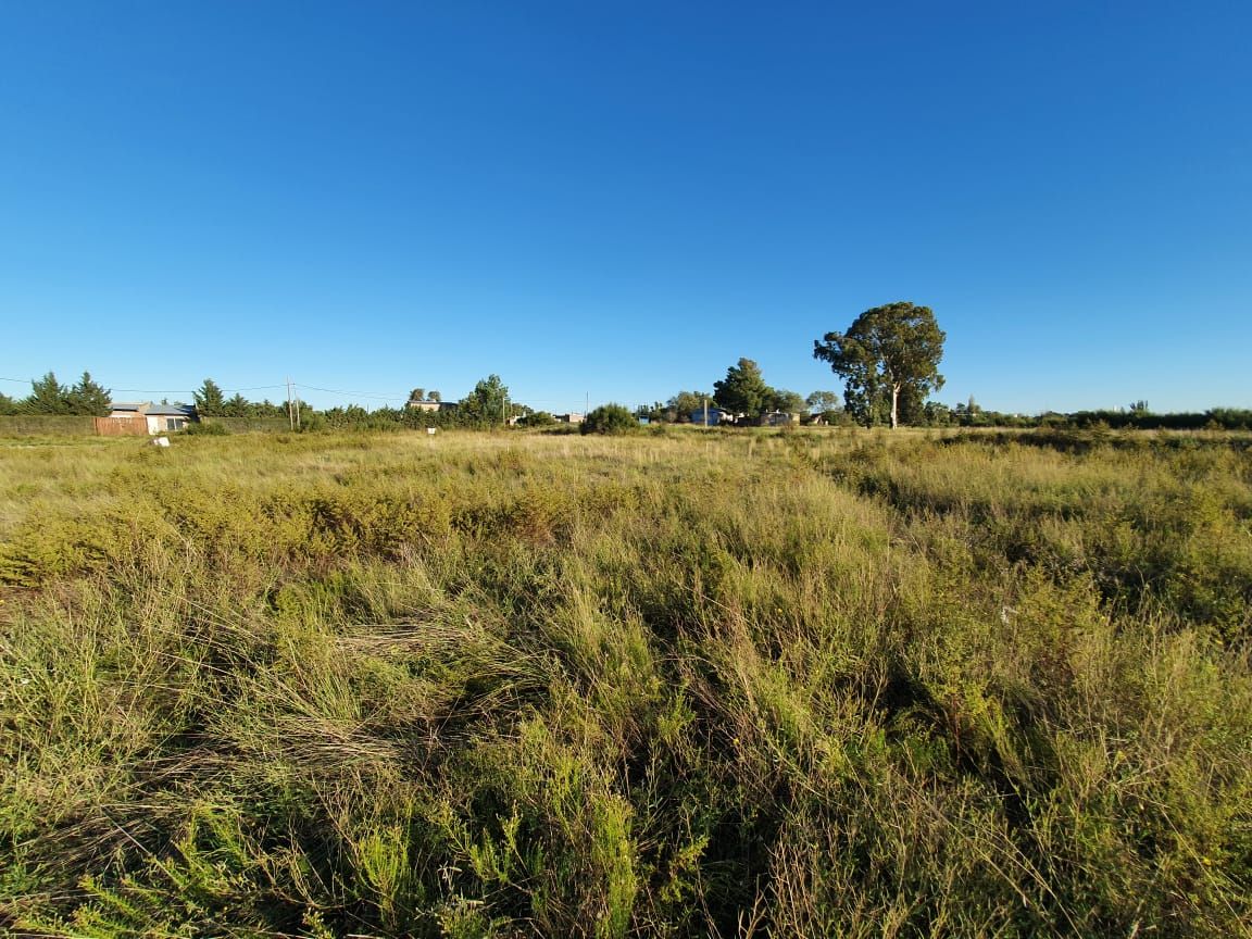 Terreno en Venta   Bahía Blanca - Bahía Blanca Propiedades | SITIO OFICIAL l