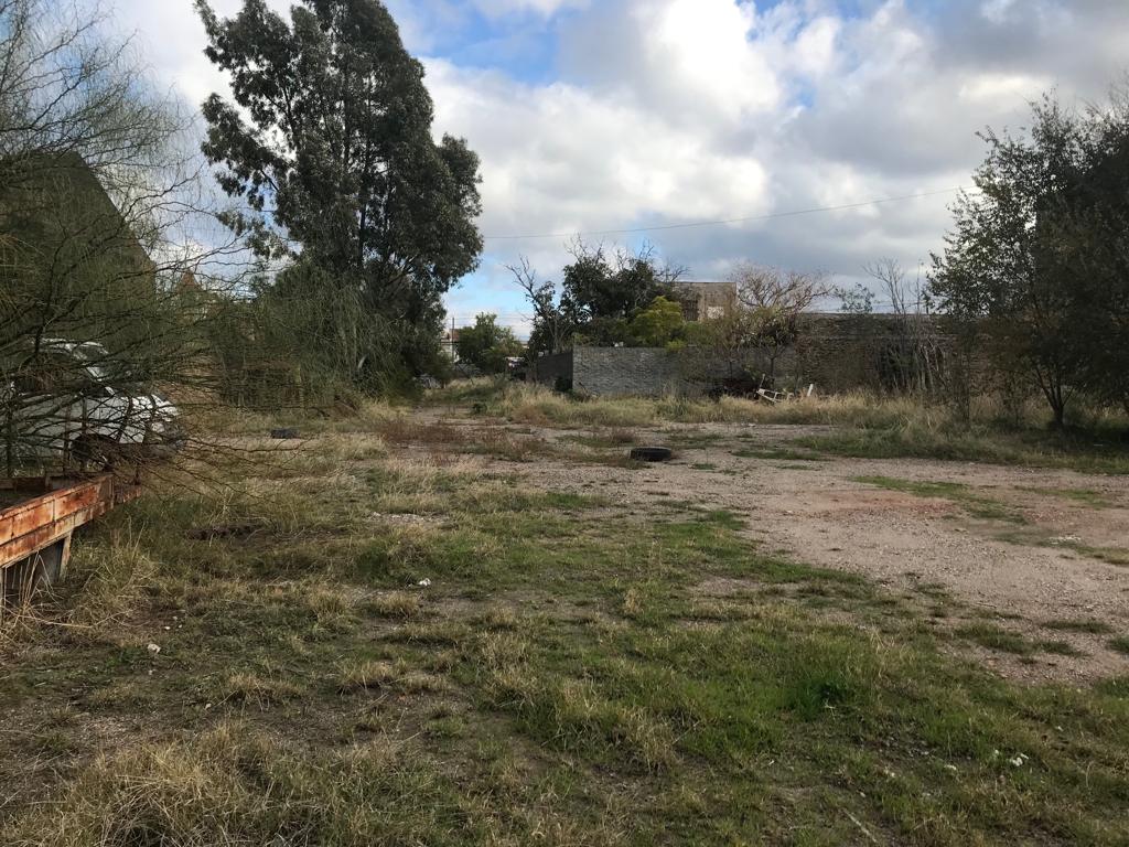 Galpón en Venta en Av. Colon 1136,  Bahía Blanca - Bahía Blanca Propiedades | SITIO OFICIAL l