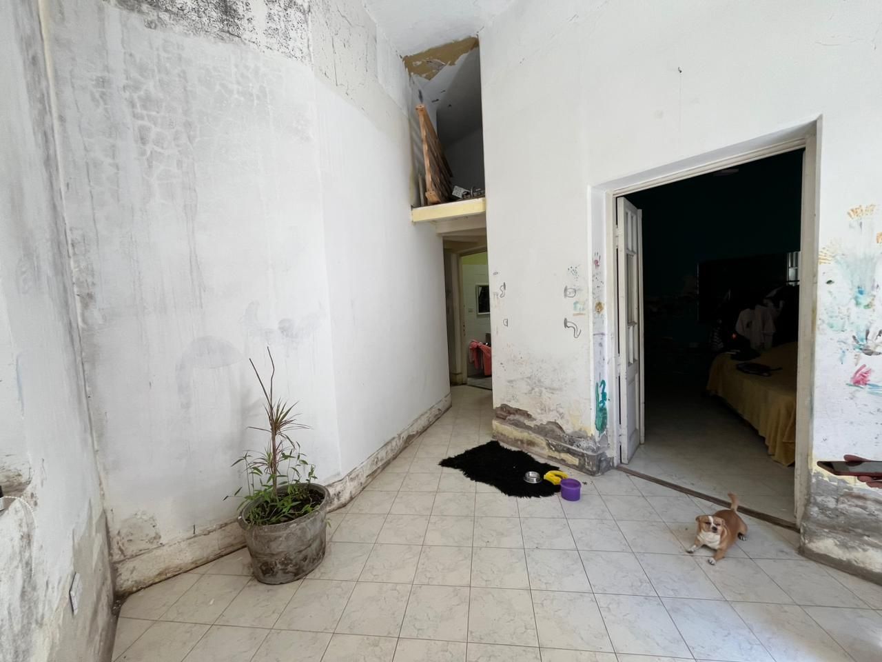 Casa en Venta en Amundsen 600, Centro, Bahía Blanca - Bahía Blanca Propiedades | SITIO OFICIAL l