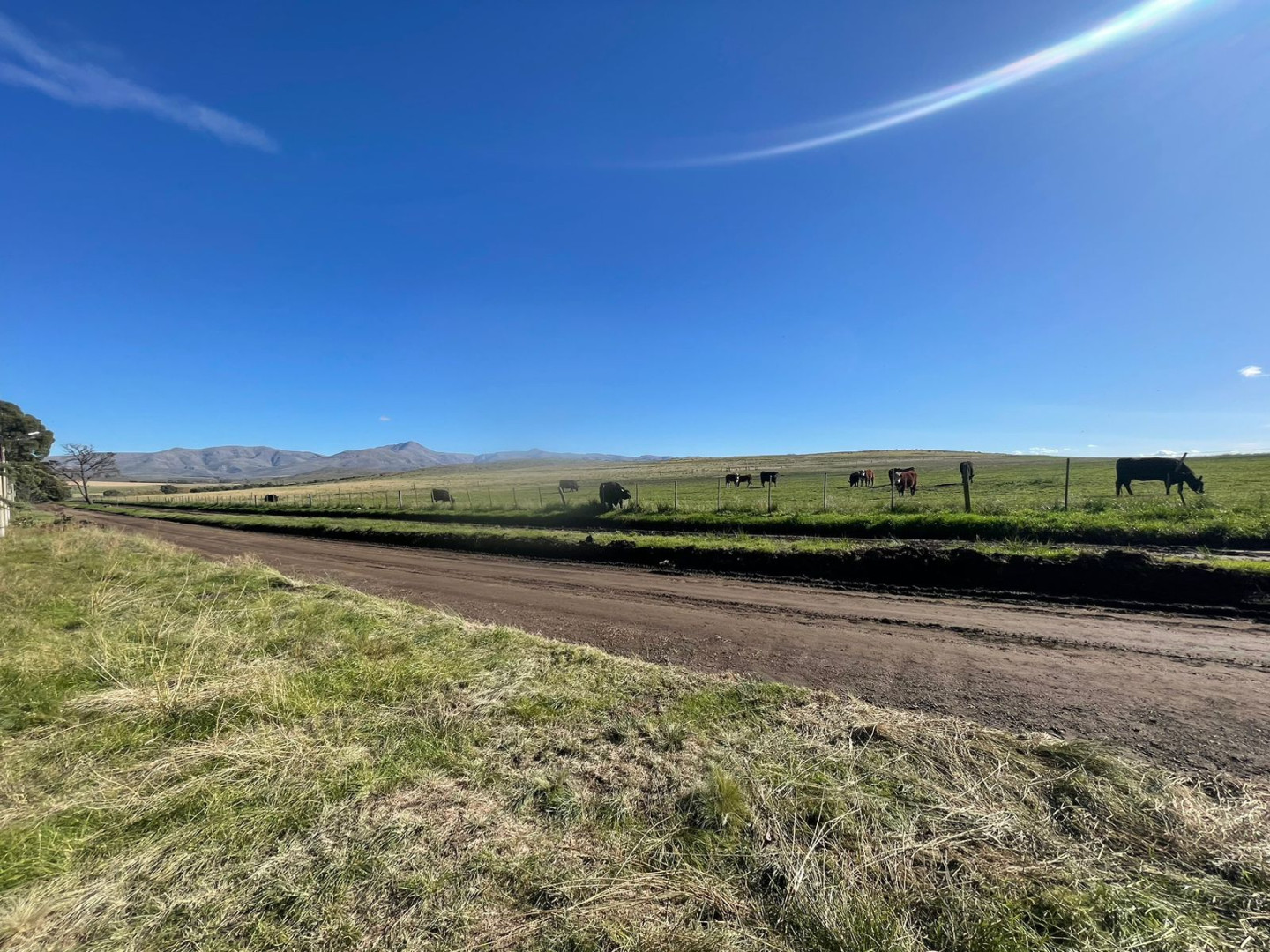 Terreno en Venta - Bahía Blanca Propiedades | SITIO OFICIAL l