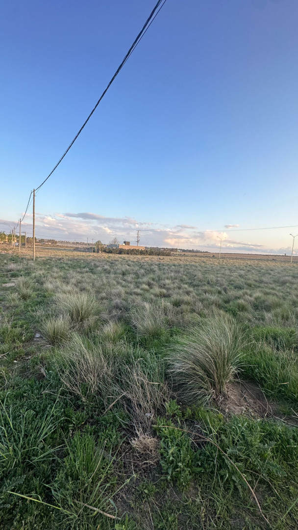 Terreno en Venta en Vera 2100, Los Muñecos, Bahía Blanca - Bahía Blanca Propiedades | SITIO OFICIAL l
