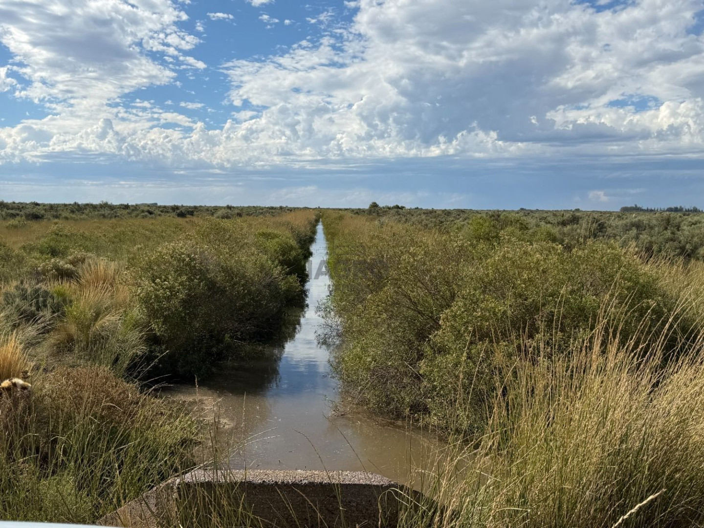 Campo  en Venta en Partido De Patagones,  Juan A. Pradere - Bahía Blanca Propiedades | SITIO OFICIAL l