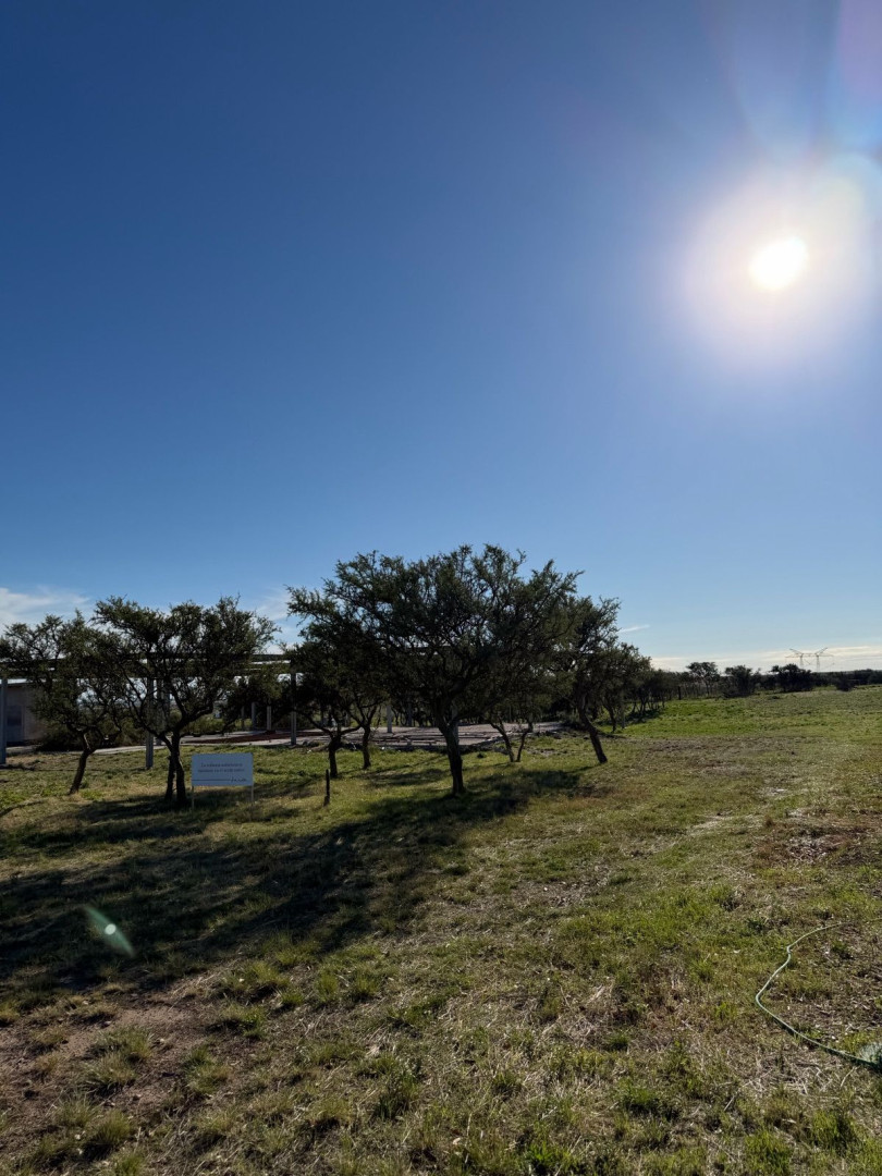 Terreno en Venta  La Huella , Bahía Blanca - Bahía Blanca Propiedades | SITIO OFICIAL l