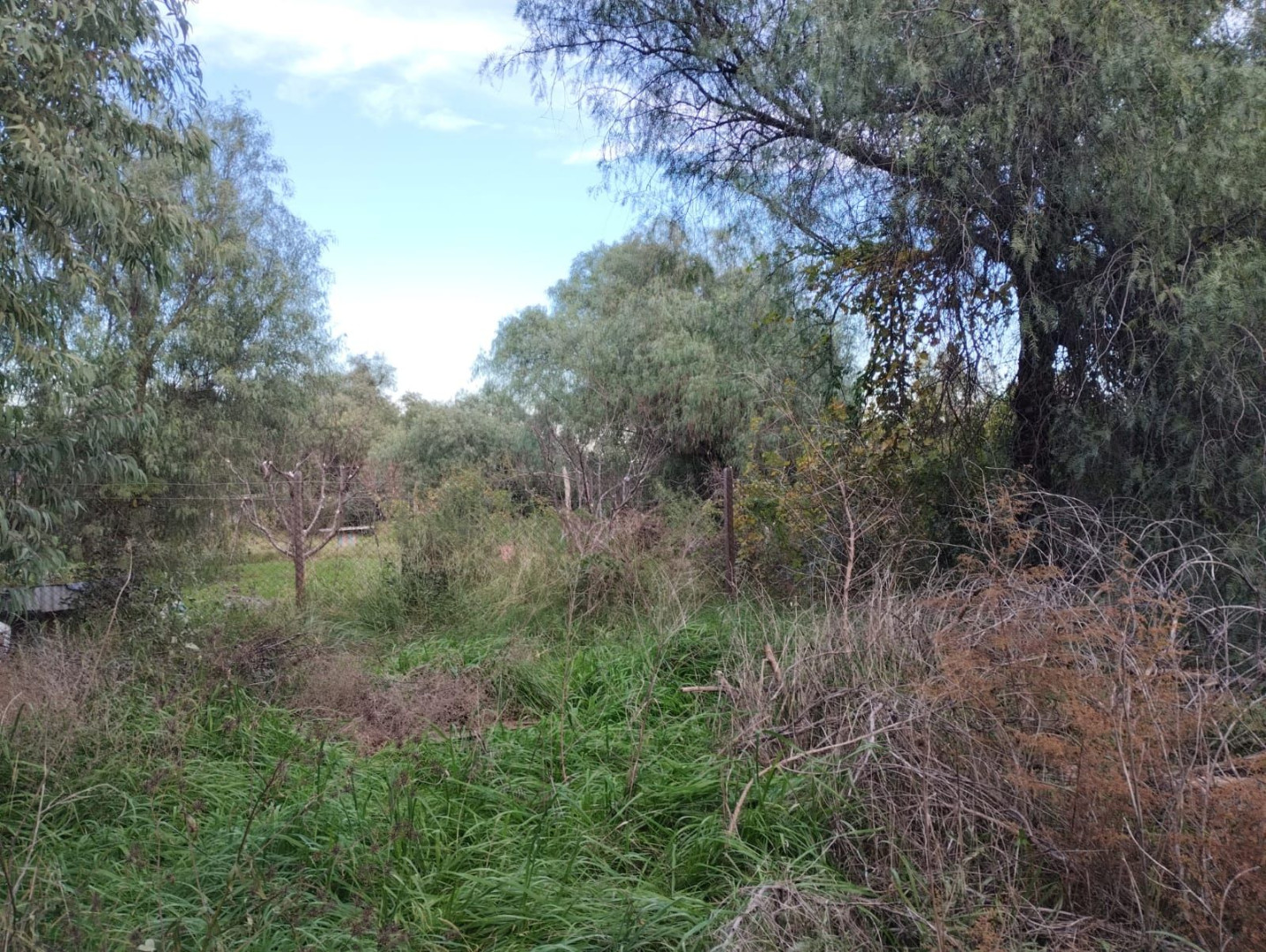Terreno en Venta en Gualeguay Y Baigorria, San Miguel, Bahía Blanca - Bahía Blanca Propiedades | SITIO OFICIAL l